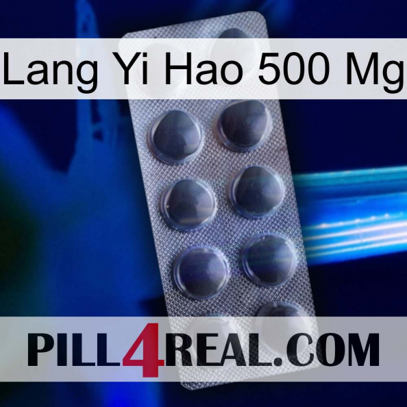 Lang Yi Hao 500 Mg 30.jpg